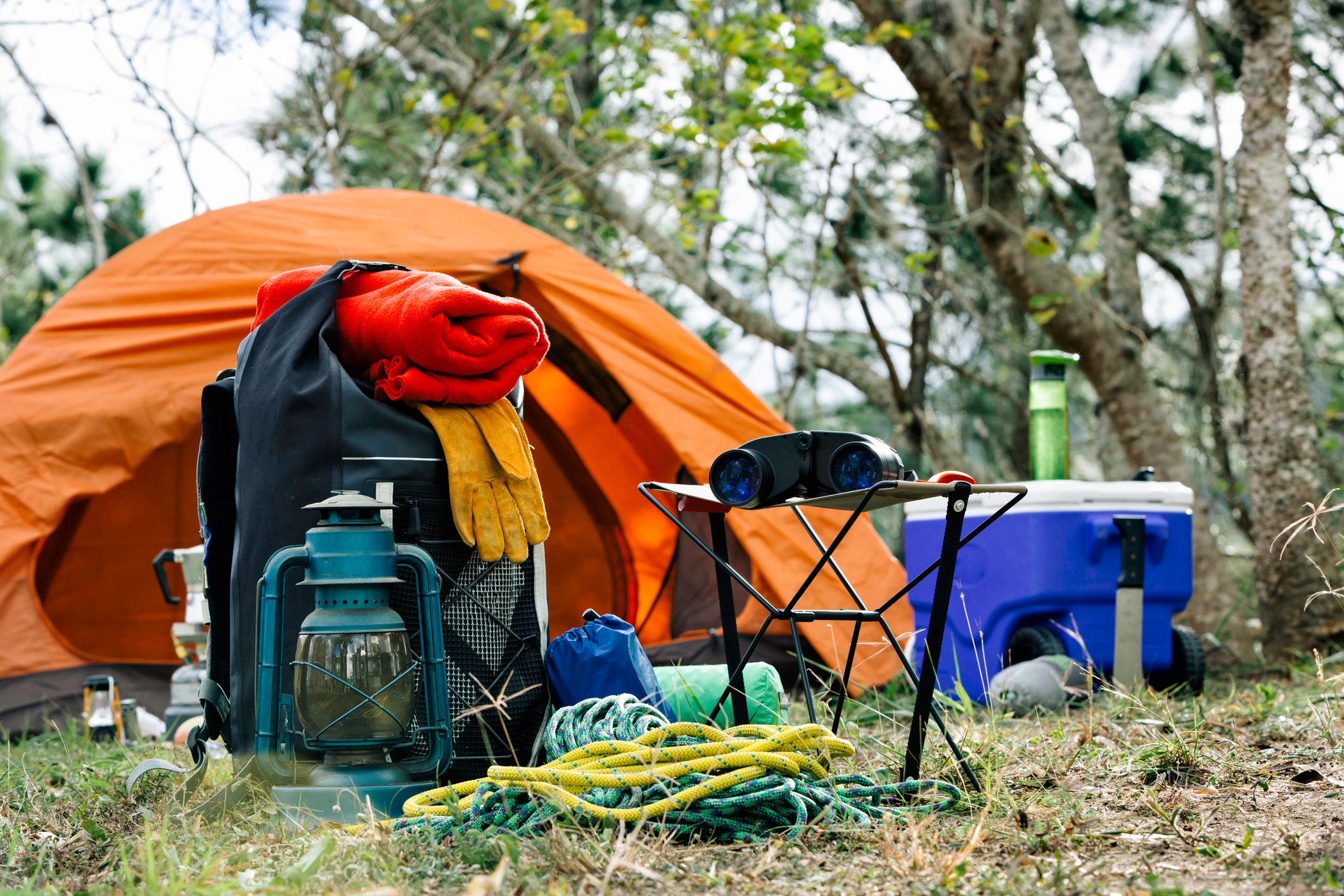 Car Camping Essentials: The Gear You Never Want to Forget
